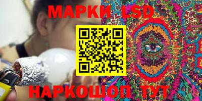 шишки Шелехов