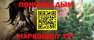 шишки Шелехов